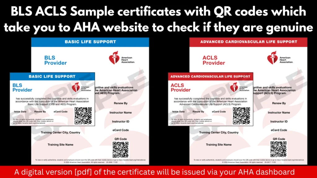 BLS ACLS Sample certificate